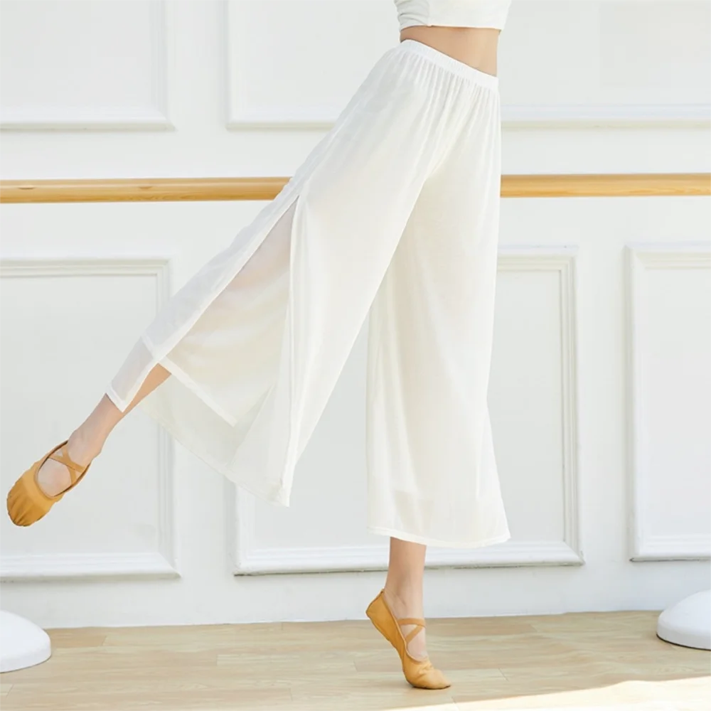 

Fashion Loose Dance Pants Elastic Waist Mesh Nylon Wide Leg Pants Chinese Classical Modern Dance Fitness Pants Dance