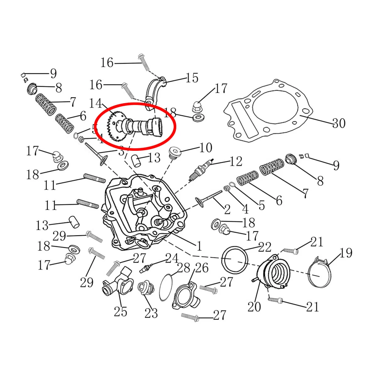 Camshaft  For CFMOTO CF MOTO 250 CF250 CN250 250CC  172MM V3 V5 Kazuma Taotao Kinroad ATV QuadGo Kart Scooter Parts