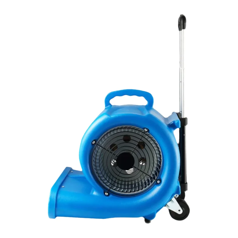 Asciugatrice da pavimento ad alta potenza per hotel e uso commerciale, adatta per tappeti, pavimenti dei WC e altre superfici