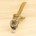 with Magnifier