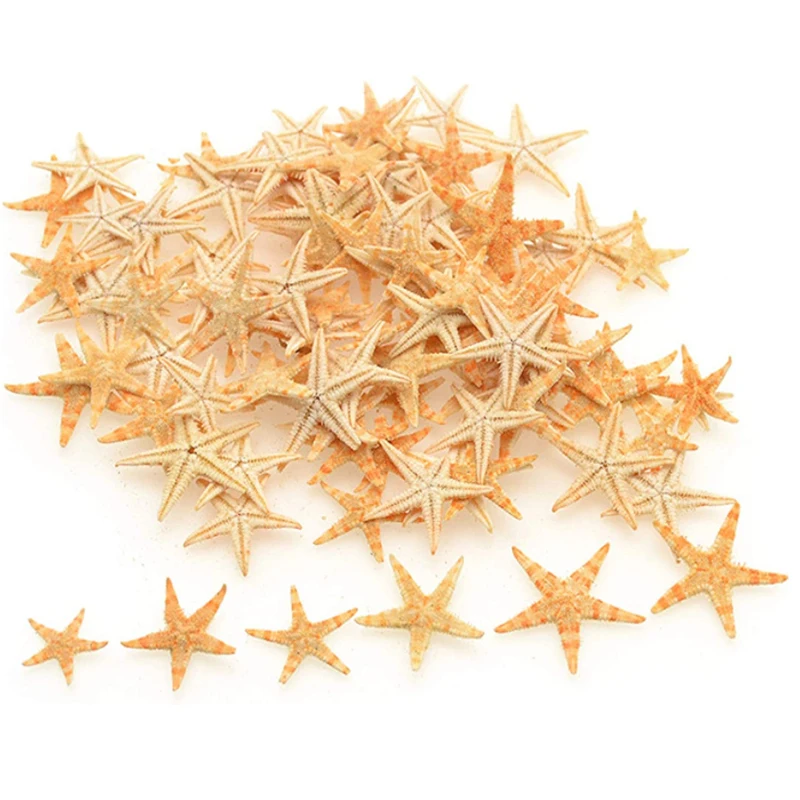 Mini Natural Starfish Sea Stars, DIY Craft Decoração, Beach Cottage, Decoração do casamento, Artesanato, 5 Pcs, 25 Pcs, 50 Pcs, 100 Pcs