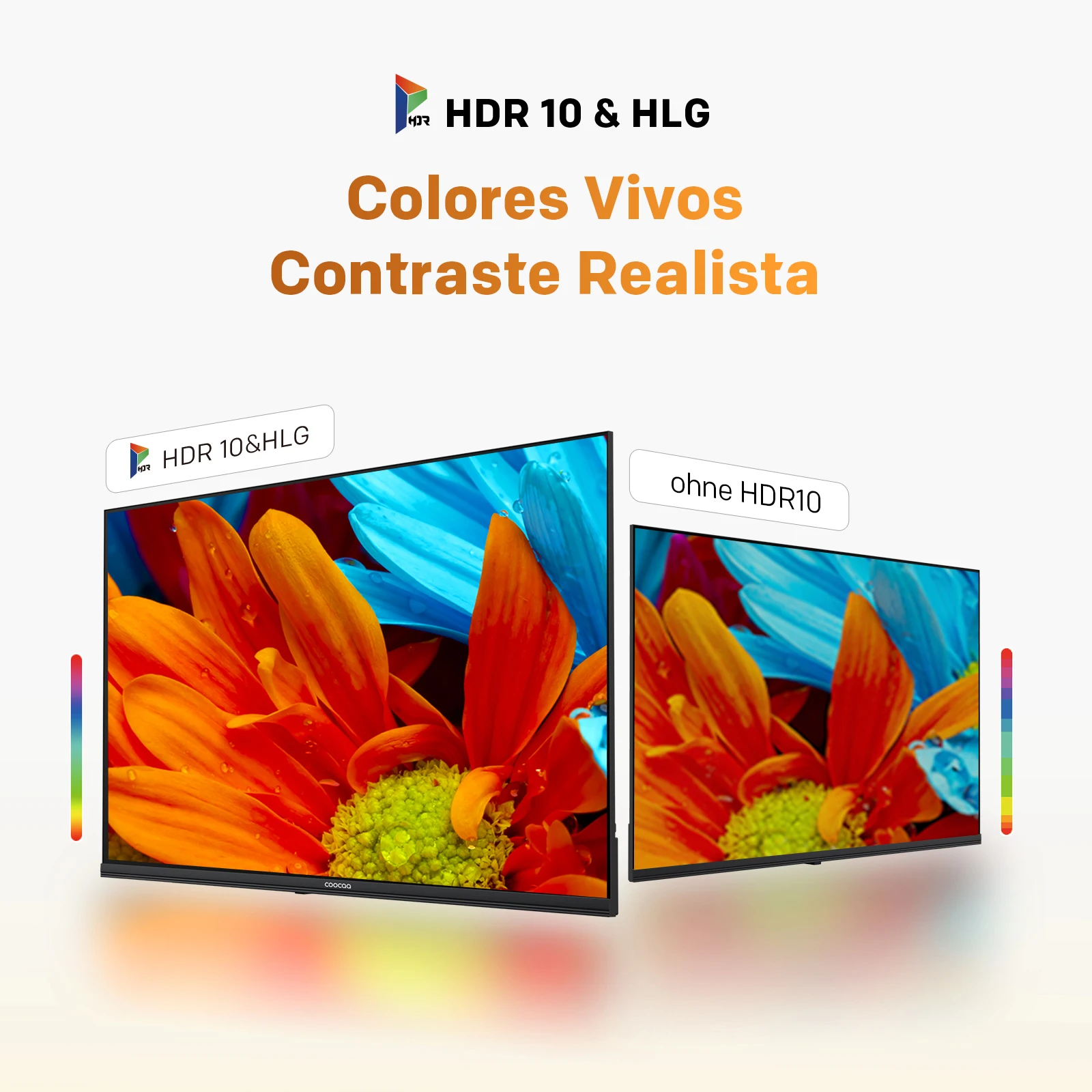 Imagen 5