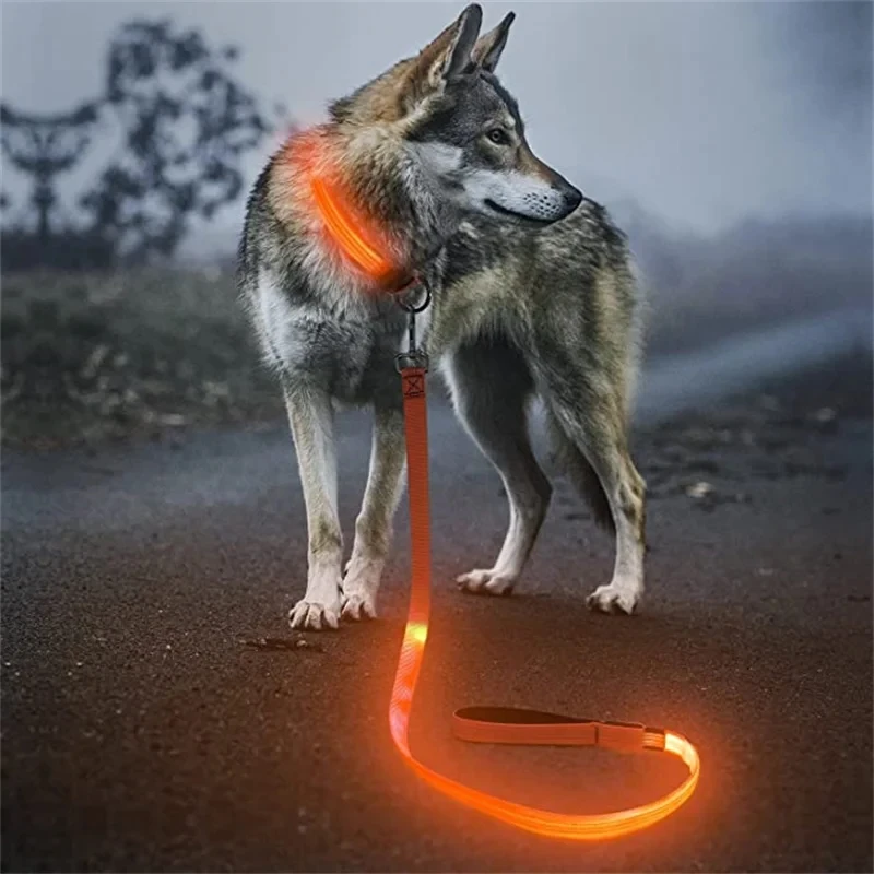 Led Haustier Hund Leine Seil Mit Licht Leuchtende Leine USB Lade für Hund Sicherheit Blinkende Leuchtende Kragen Harness Zubehör – Detail 8