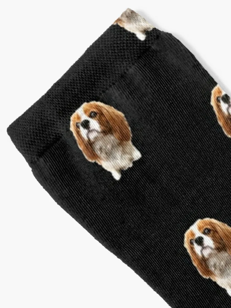 Bert the Cavalier King Charles Spaniel Socks moving stockings sports and leisure fashionable Socks For Women Men's