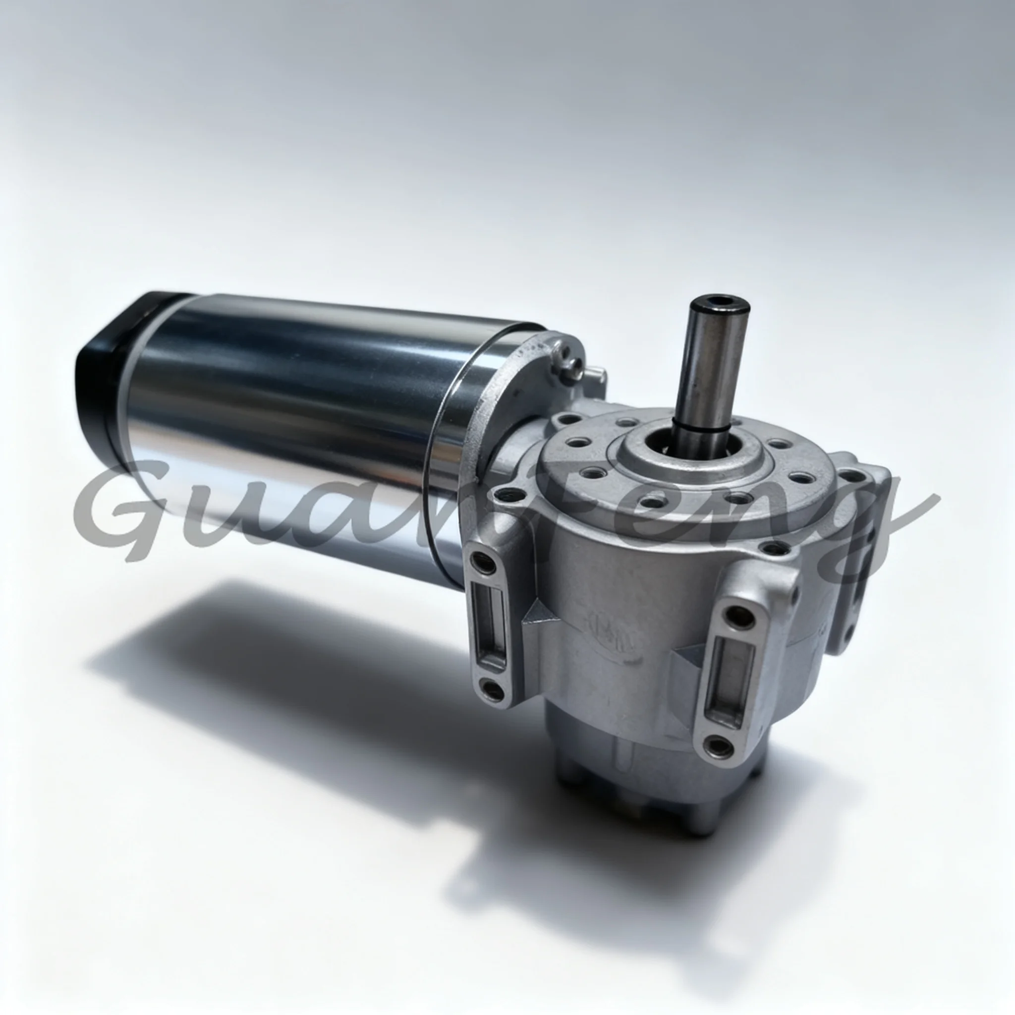 Integrated DC24V Worm Gear Motor with Hall Encoder, 60W / 100W Drive Motor for Hotel Automatic Door System