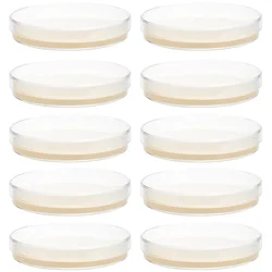 Placas de Agar prevertidas, suministros para experimentos de ciencia, 10 piezas