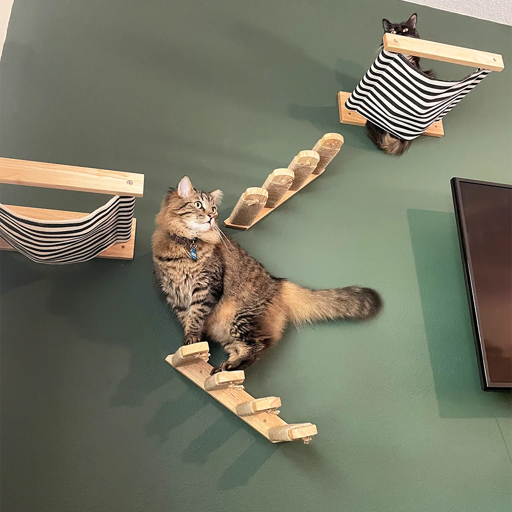 

Cat wall racks cat wall steps and perches wall cat hammocks stairs ladders cat perches modern wooden floating climbing furniture