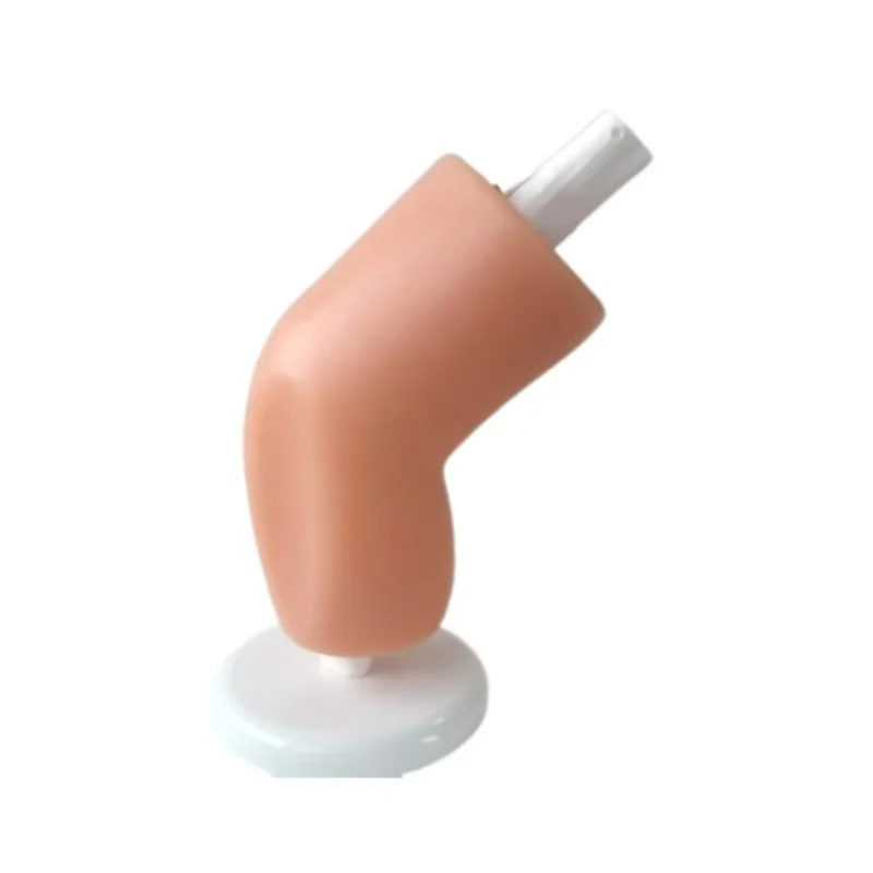 

Уникальная медицинская наука, артроскопическая модель коленного симулятора для обучения и обучения, артроскопическая модель коленного сустава