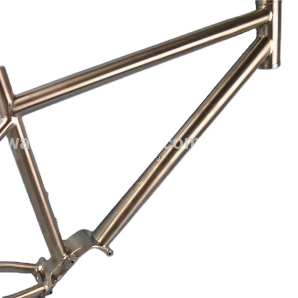 Pinion P1.18 Titanium Bike Frame With 18 Speed Internal Gearbox Bottom Bracket