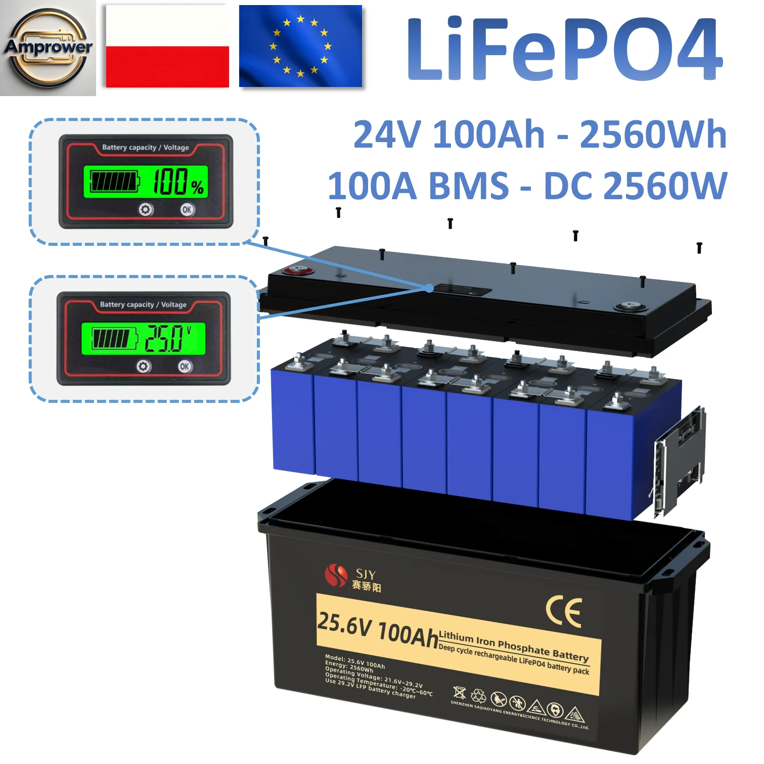 Batterie de stockage d'énergie LiFePO4 24V 100Ah, 6000 cycles, 2560Wh, batterie au phosphate de fer et de lithium rechargeable pour système photovoltaïque