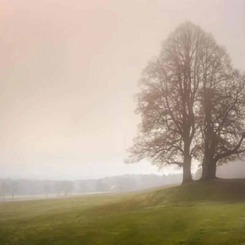 

MJX H12Y H12Y + автомобильные запасные части с дистанционным управлением, металлический модернизированный корпус передней оси, корпус задней оси