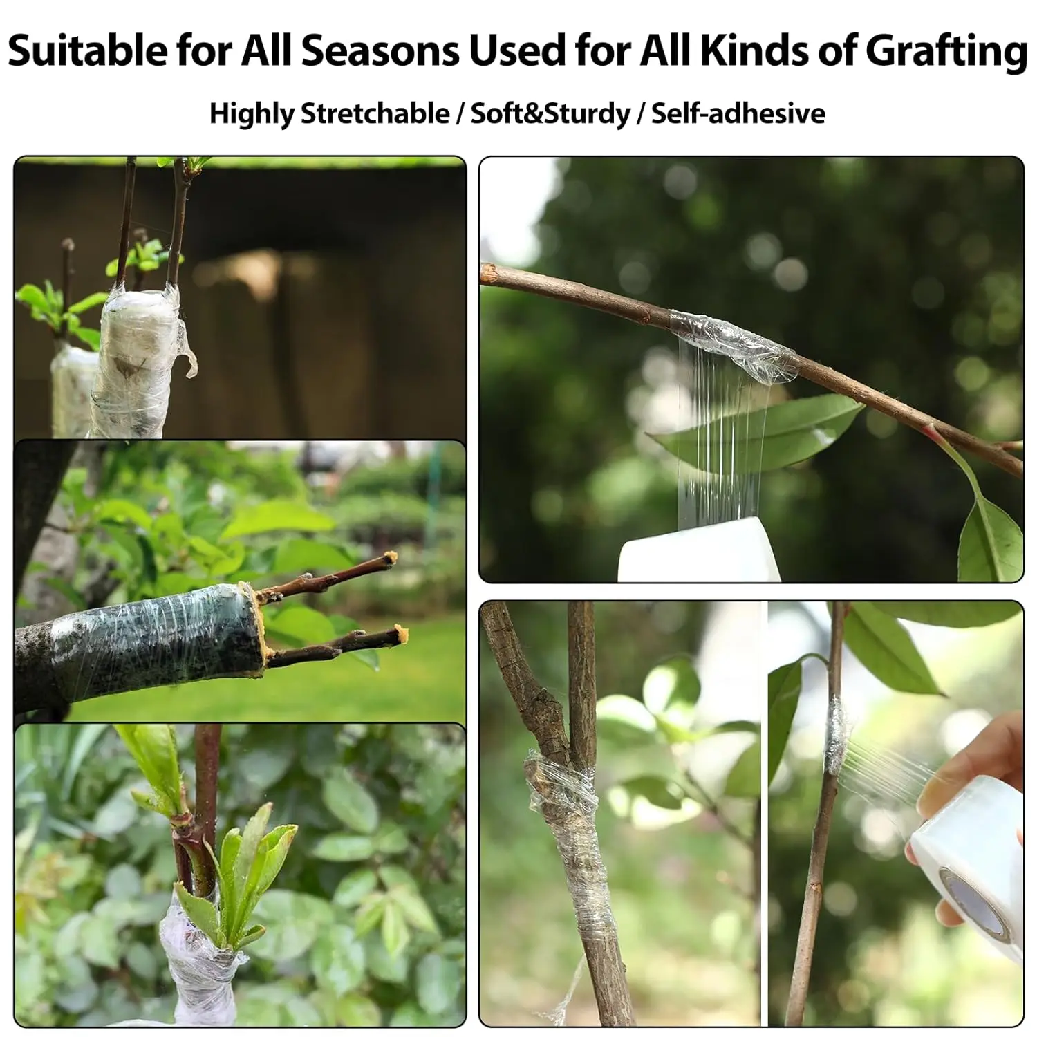 Bild 5: PE Flexible Pfropfbandfolie Selbstklebendes Gartenbaum-Rollenband zum Pfropfen von Bäumen Pflanzen Pfropfen Dehnbar