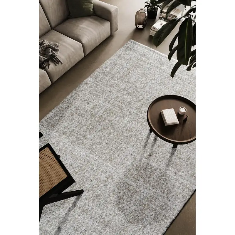 

Ivory Beige Polypropylene Area Rug, Soft Indoor Carpet for Living Room, Bedroom, Durable Floor Covering, Elegant Design, Easy