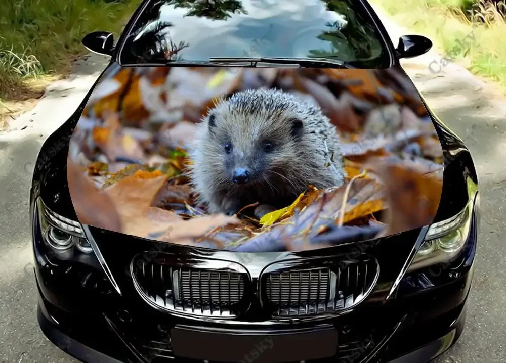 

hedgehog animal Car hood vinyl sticker wrap film custom self-adhesive sticker universal car hood decal