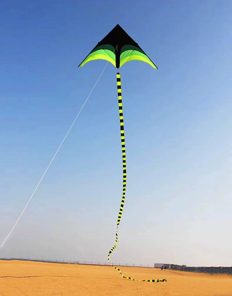 大型凧飛行デルタ凧子供用凧ビーチ凧屋外おもちゃ虹凧ラインプロフェッショナル凧パラシュートリップストップ鯉