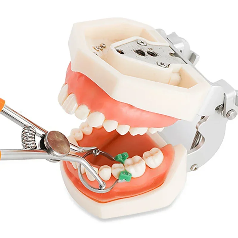 

Dental Forceps Matrix Band Forming Clip with Durable Rubber Dam Clamp: Orthodontic Instruments for Dentist Material Applications