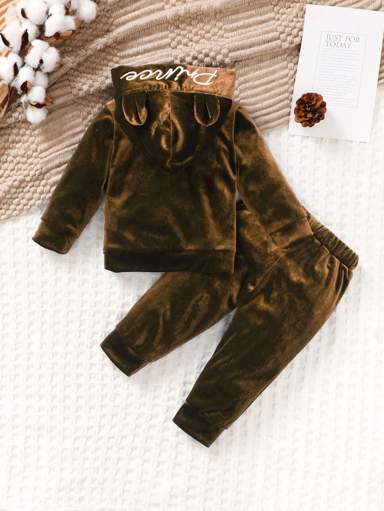 Boys Velvet Set Long Sleeve Hoodie with Ear And Large Pocket Casual Versatile Two-Piece Suit Prince Comfortable Streetwear