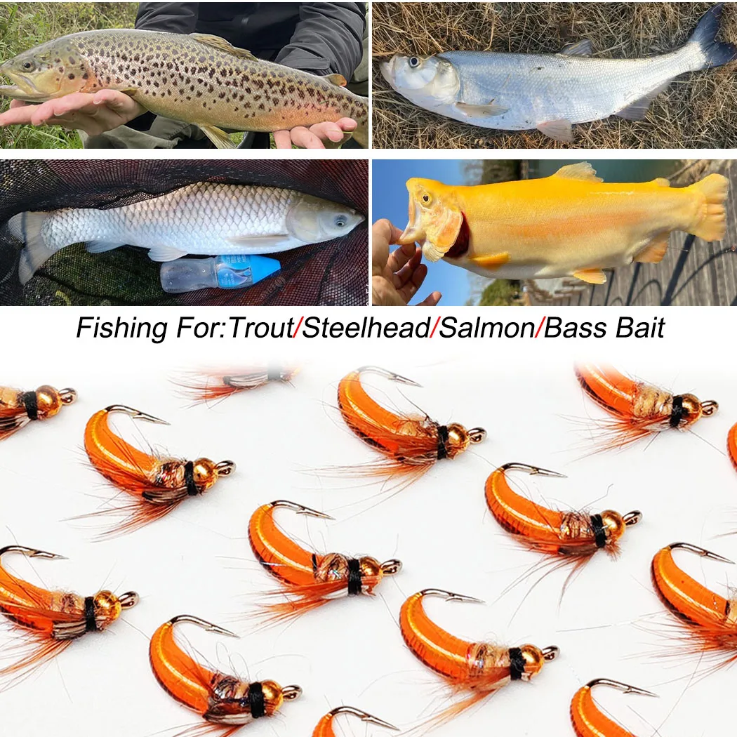 10 Stück-mit Fliegenbox Fliegenfischen Fliegen Künstlicher BeadHead Nymphe Orange Trockenfliegen Köder zum Angeln Forellen Nymphenköder – Detail 6