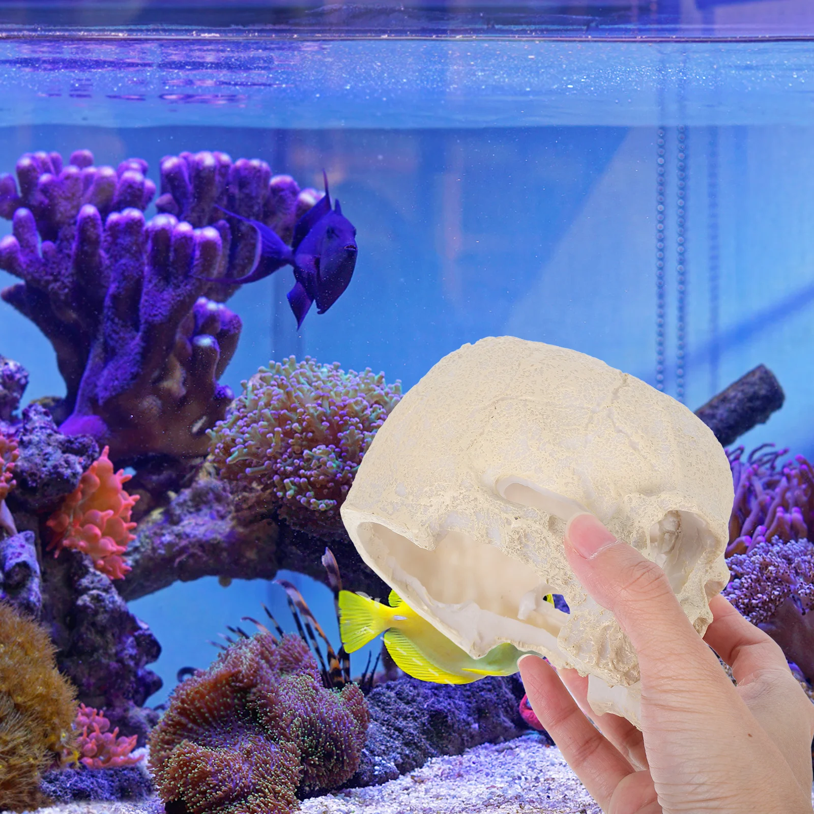 

Aquarium Resin Skull Fish Tank Realistic Skull Shelter Cave Reptile Hide House Snake Gecko Spider Tank Decoration