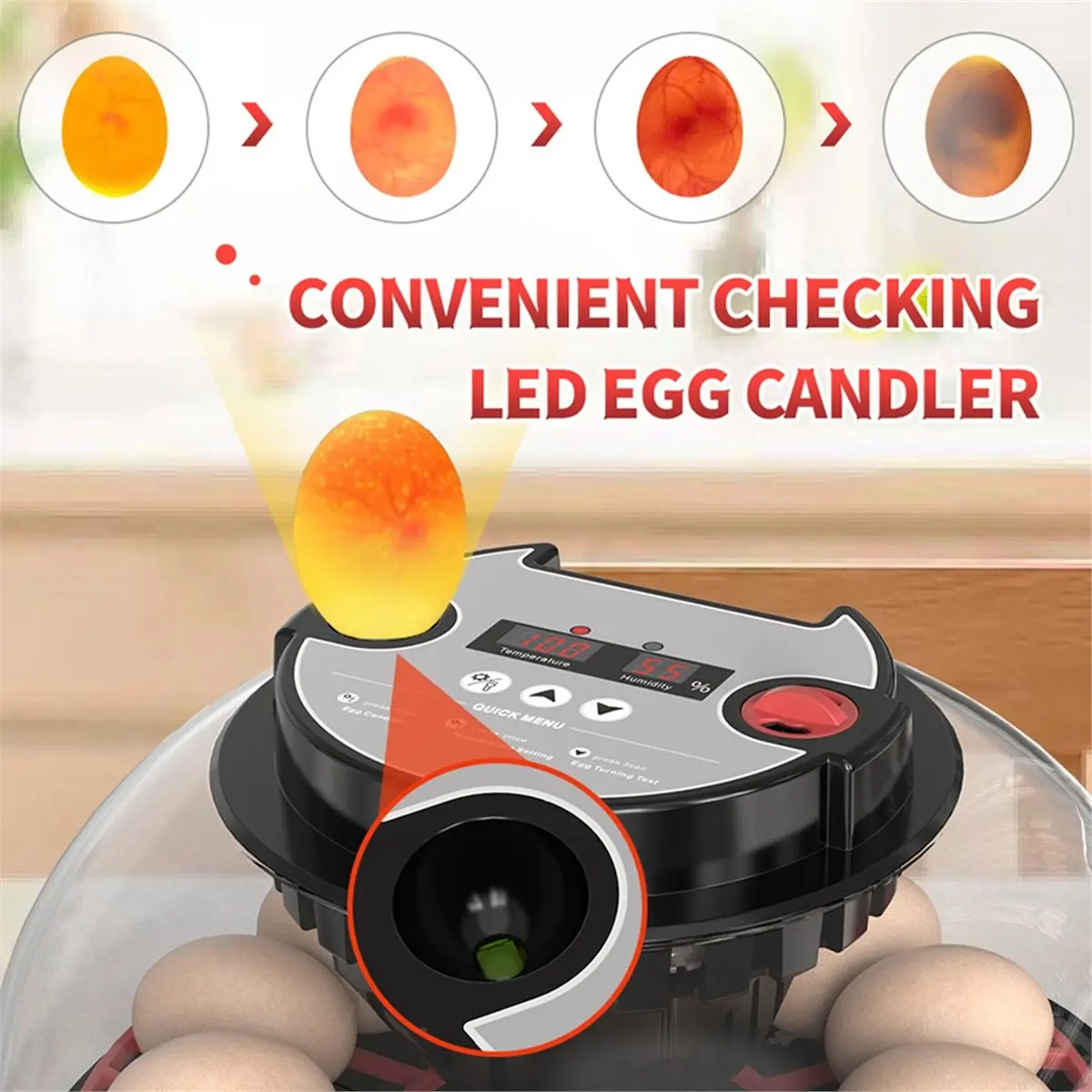 Flashlight for Automatic 12H Chicken Quail Egg Incubator Temperature and Humidity Display Automatic Egg Turning EU Plug