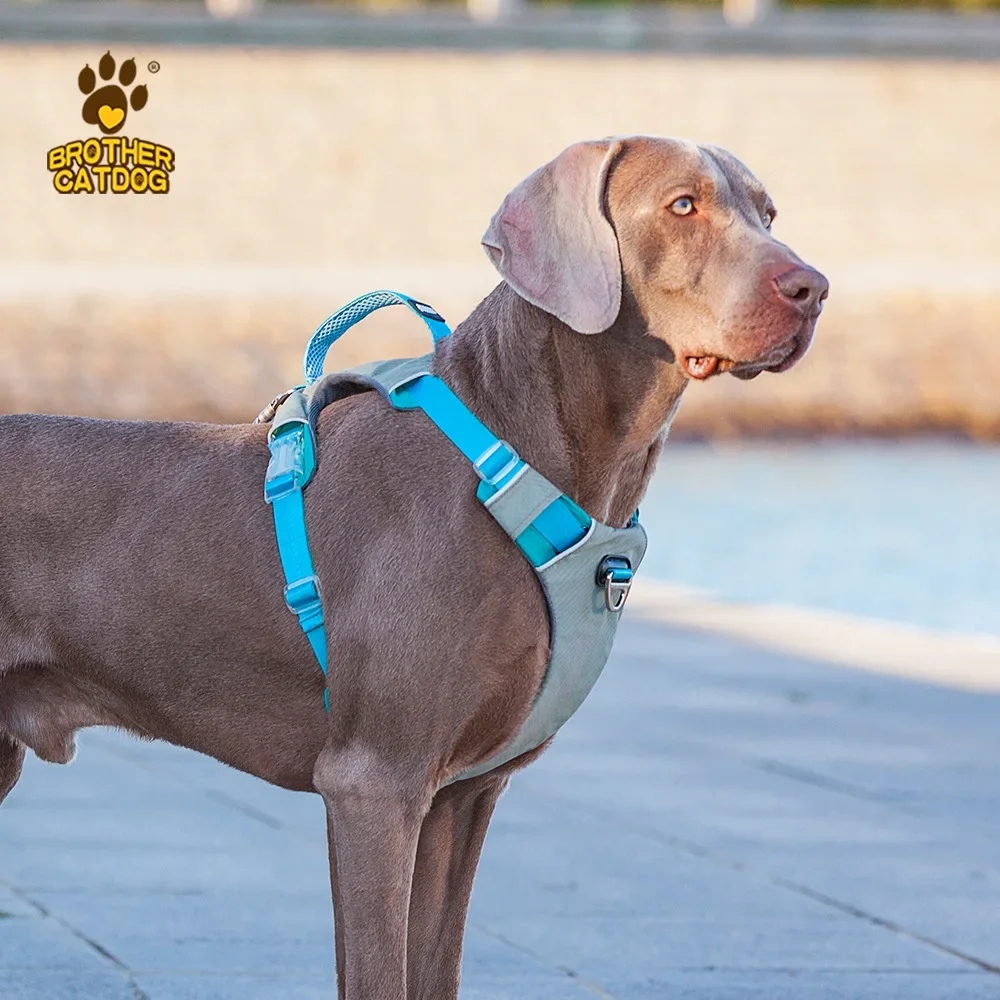 

Pet dog chest strap, I-shaped reflective dog vest type strap can lift and prevent explosion and punch the chest and back of larg