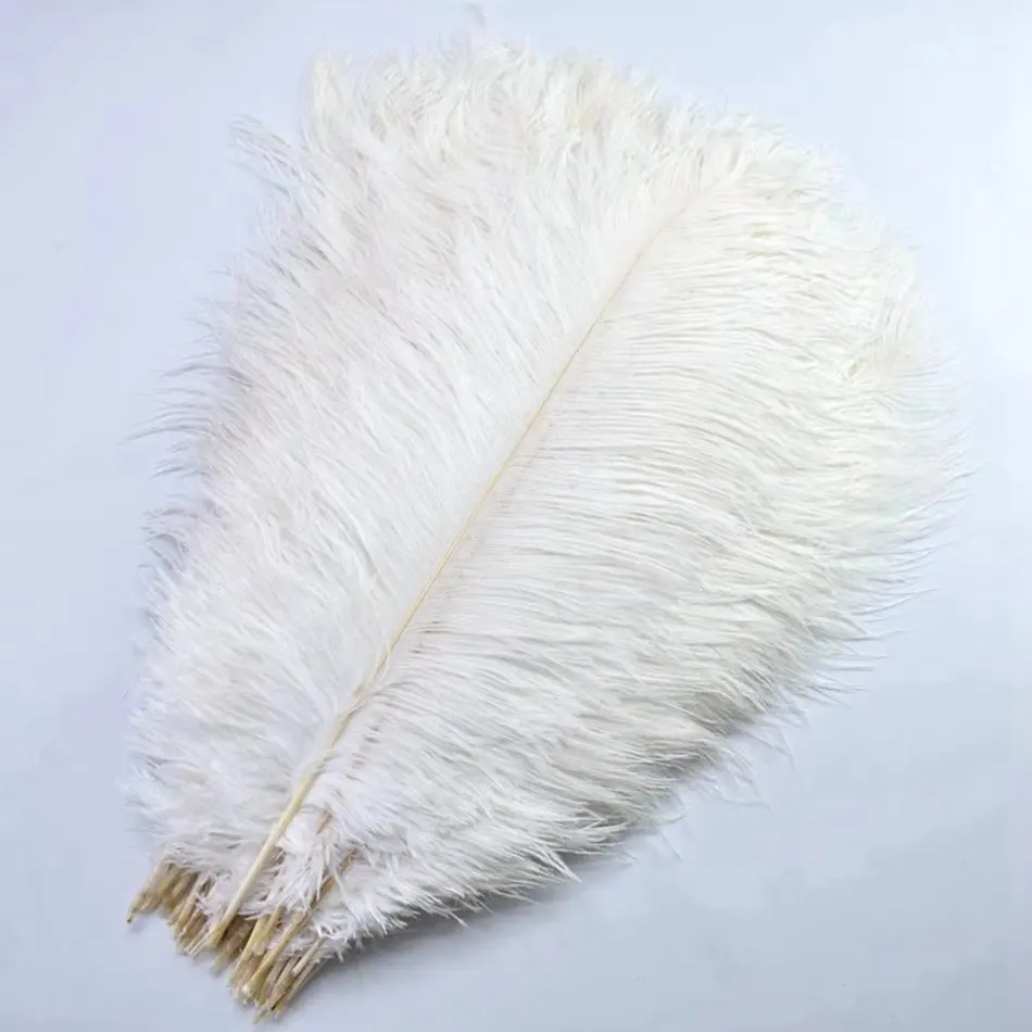 beautiful Real White Ostrich Feather Wedding Party large Plume Crafts DIY natural Feather clothes Home table Decor Accessories