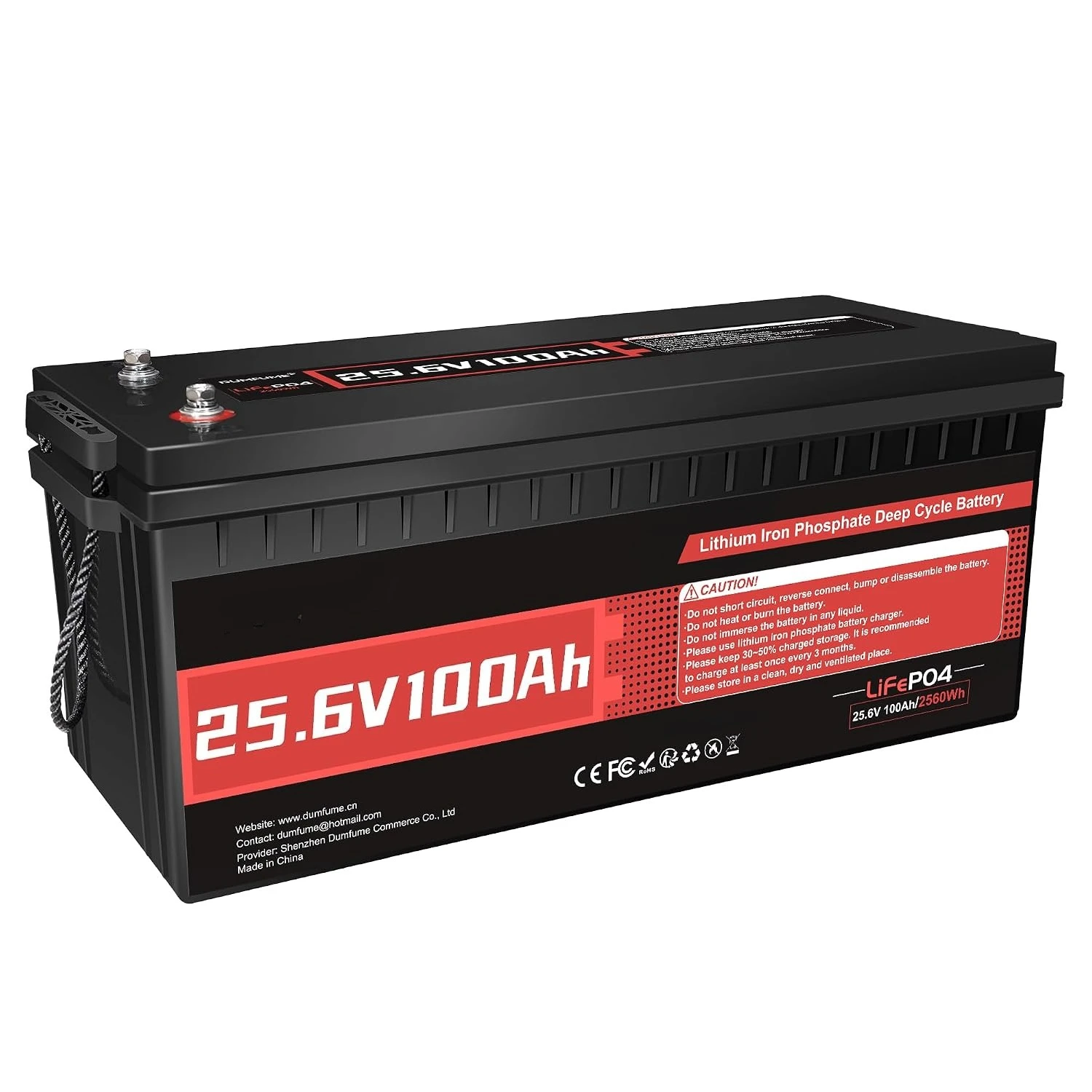 24V 100Ah LiFePO4 Battery Built-in 100A BMS, Customized