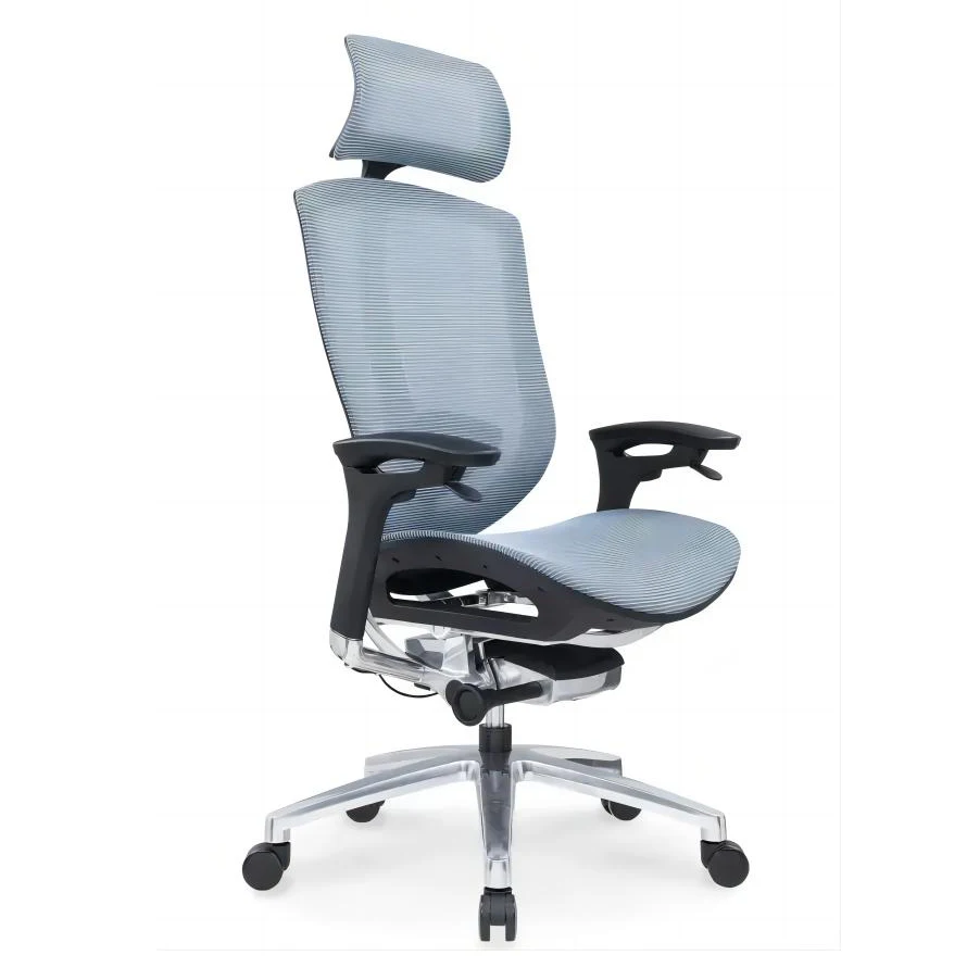 

Luxury Ergonomic Full Mesh High Back Executive CEO Office Chair