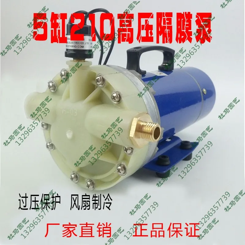 

12V24V48V60V five-cylinder diaphragm pump high-pressure spraying pump agricultural electric garden irrigation self-priming