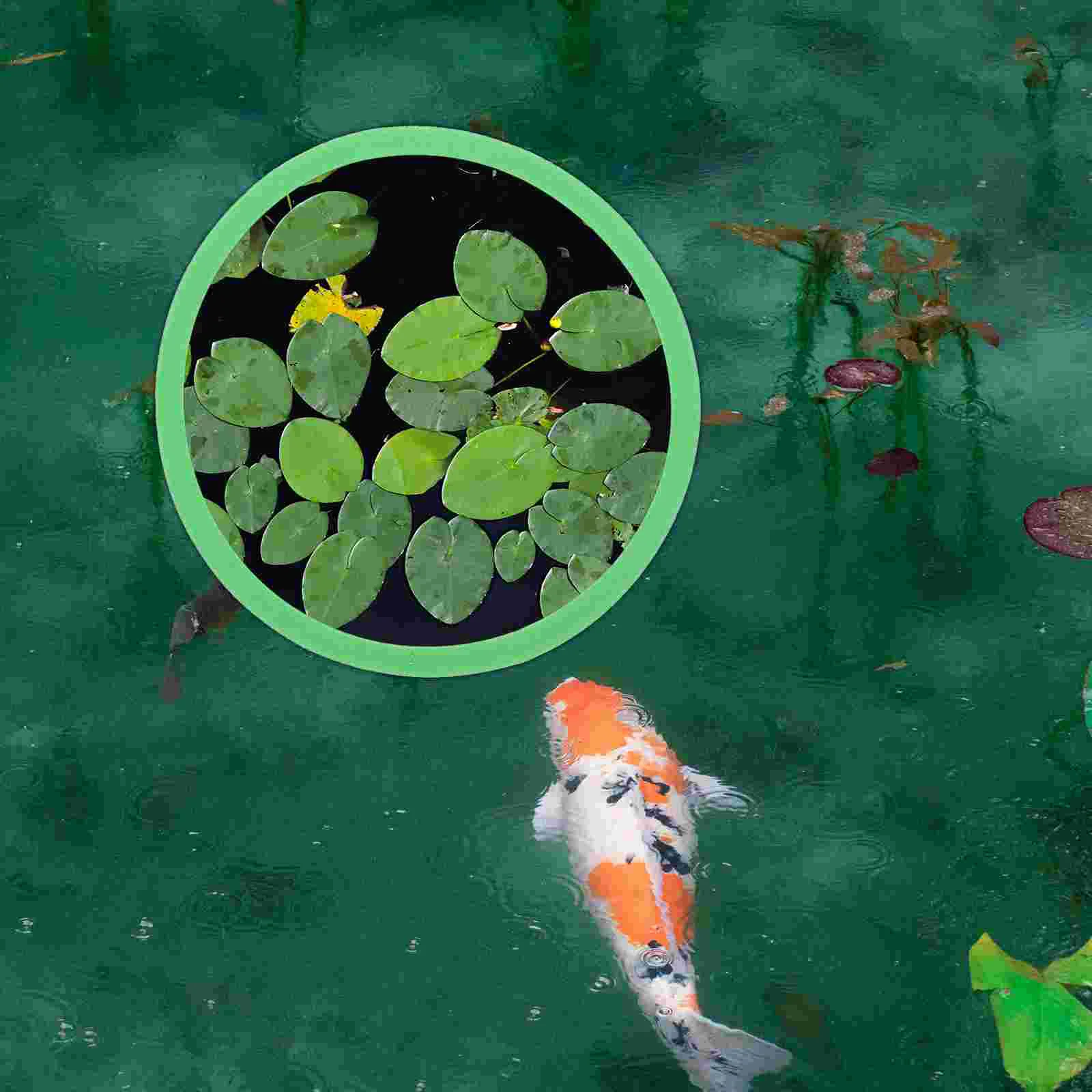 5 Pcs Fish Tank Floating Plant Fence Duckweed Ring Isolation Circle Circles Feeder Aquarium Rings Accessories Reusable Black