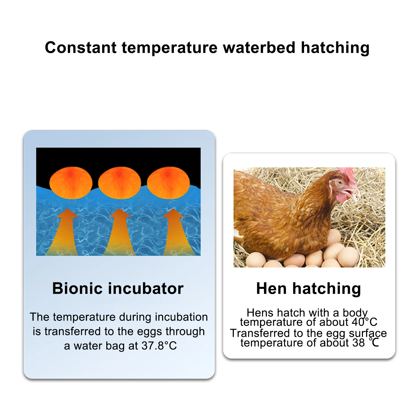 Macchina da cova automatica dell'incubatrice da 9 uova con piccola quaglia di pollo a base d'acqua incubazione silenziosa casa