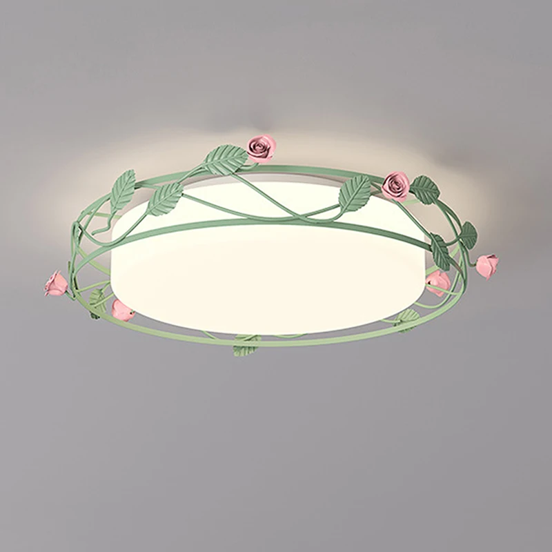 French Romantic Countryside Flower LED Lron Light Modern Home Decoration Living Room Children's Room Eye Protection Ceiling Lamp