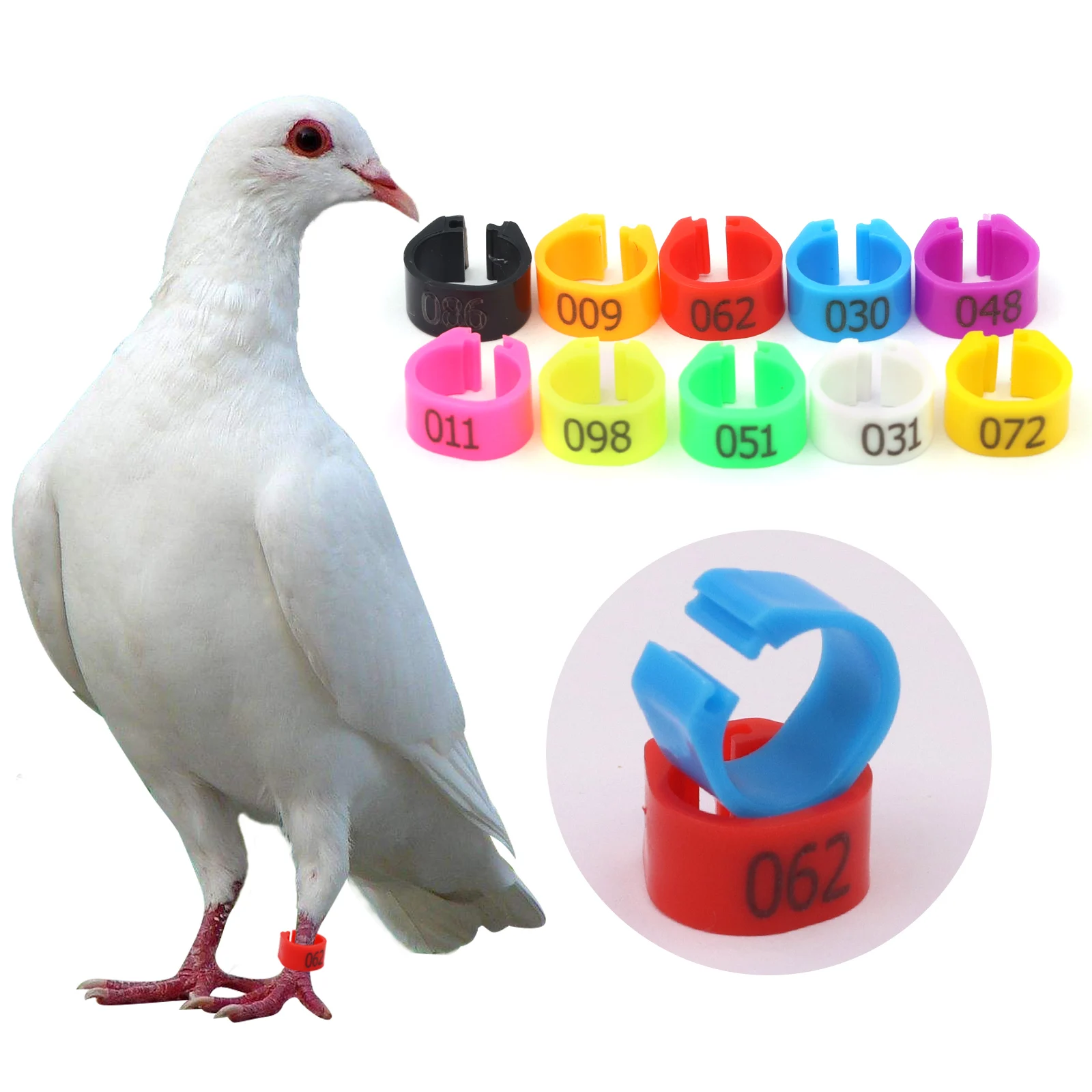 100 Pcs 10 Colors Foot Ring with Text Bird Parrot Pigeon Training Tools 8Mm Inner Diameter, Animal Carrier Identification Tool