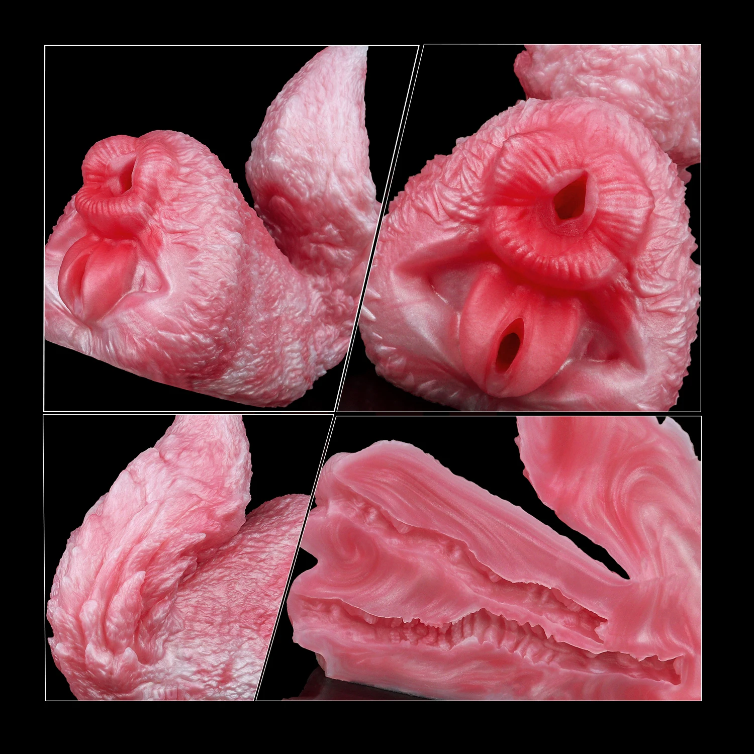 No image