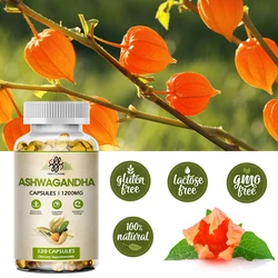 Organic Ashwagandha KSM-66, Supports Occasional Stress Relief, Improve Sleep Quantity, Boost Focus & Brain, Dietary Supplement