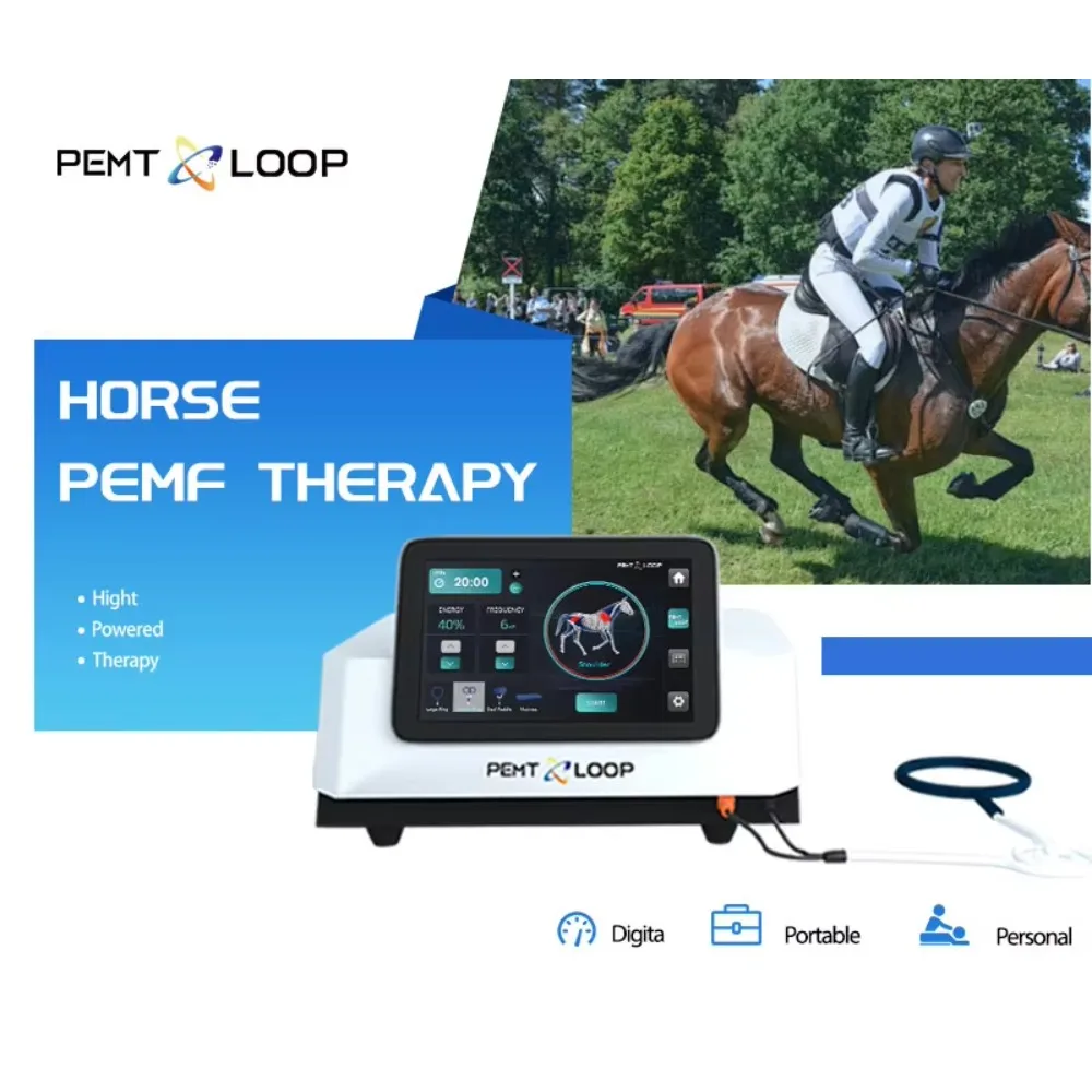 

Horse Veterinary Equipment Magnetotherapy Loop Vet Laser Equine Machine for Pemf Magnetic Therapy Diagnosis Properties