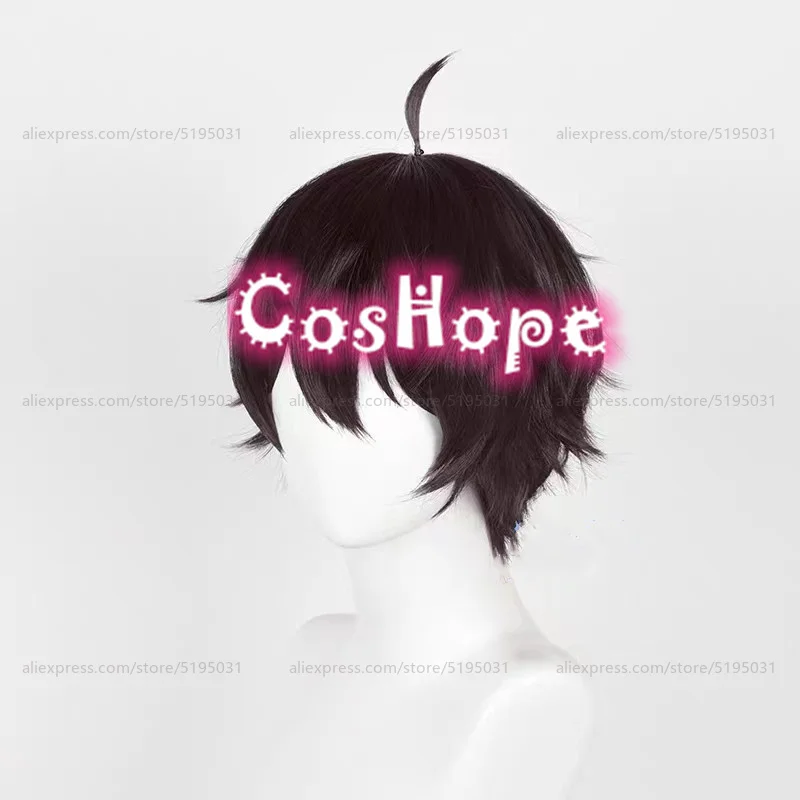 Dan Heng Cosplay Wig 30cm Short Wig Black Brown Wig Cosplay Anime Cosplay Wigs Heat Resistant Synthetic Wigs