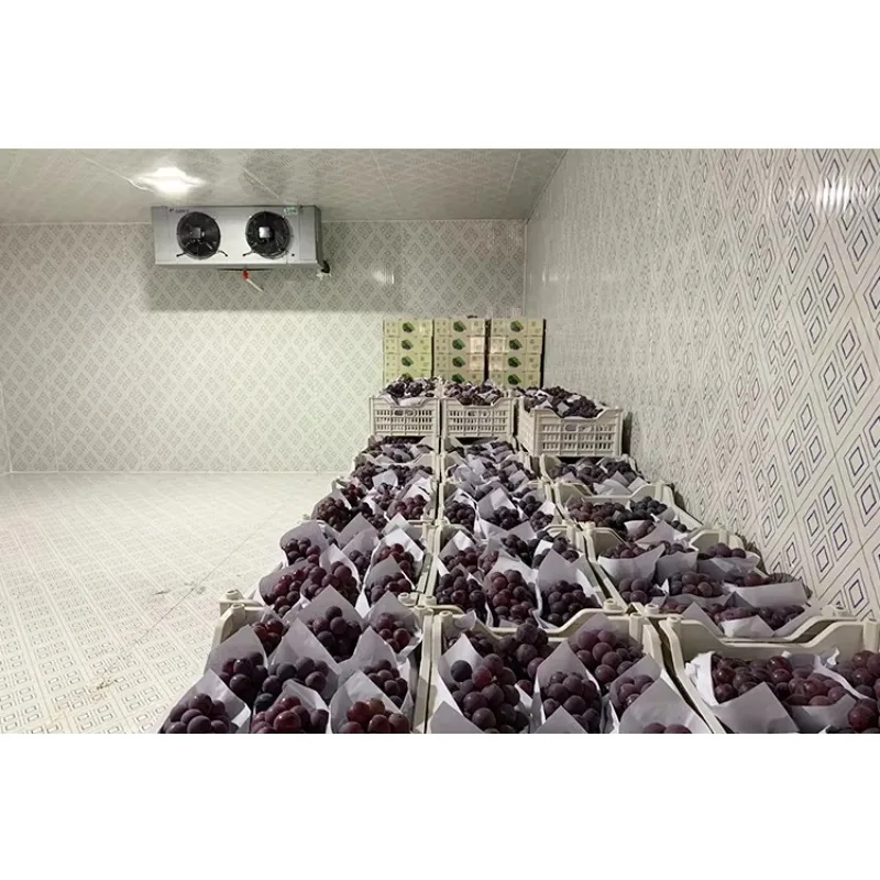 مخصصة منخفضة التكلفة المشي في الغرفة الباردة التخزين البارد للحوم الفاكهة الخضار والمأكولات البحرية