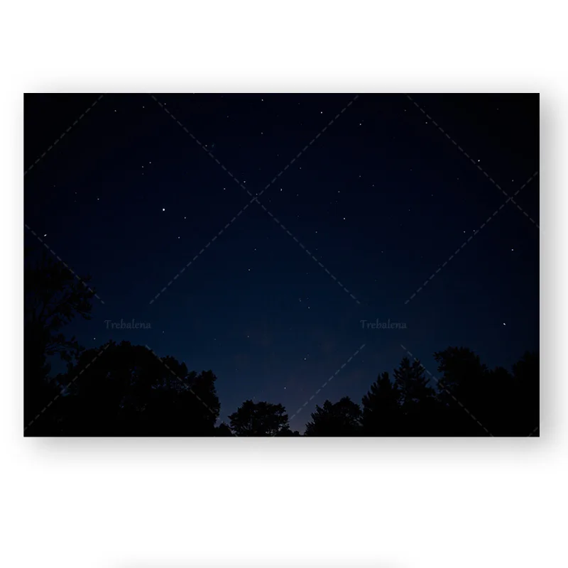 قطعة واحدة من نسيج الحائط "نسيج السماء الليلية المرصعة بالنجوم - فن جداري لمشهد الغابات البسيط الحديث" #2