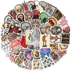 10/50pcs Vintage Human Organ Medical Anatomy Stickers Body Structure Decals DIY Laptop Diary Bottle Graffiti Waterproof Sticker