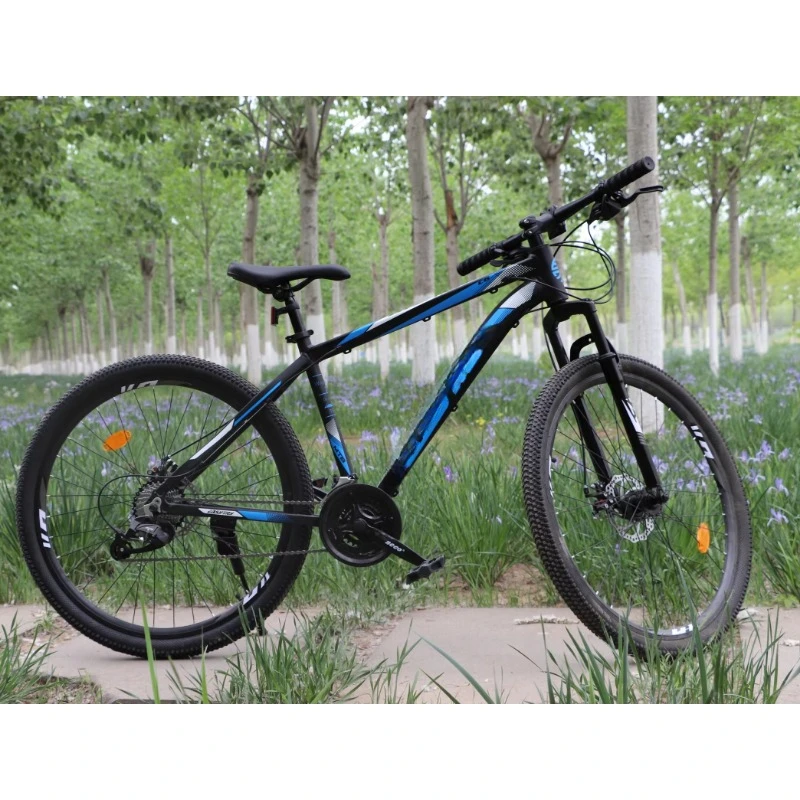 Vélo 21 vitesses VTT vélo à suspension complète