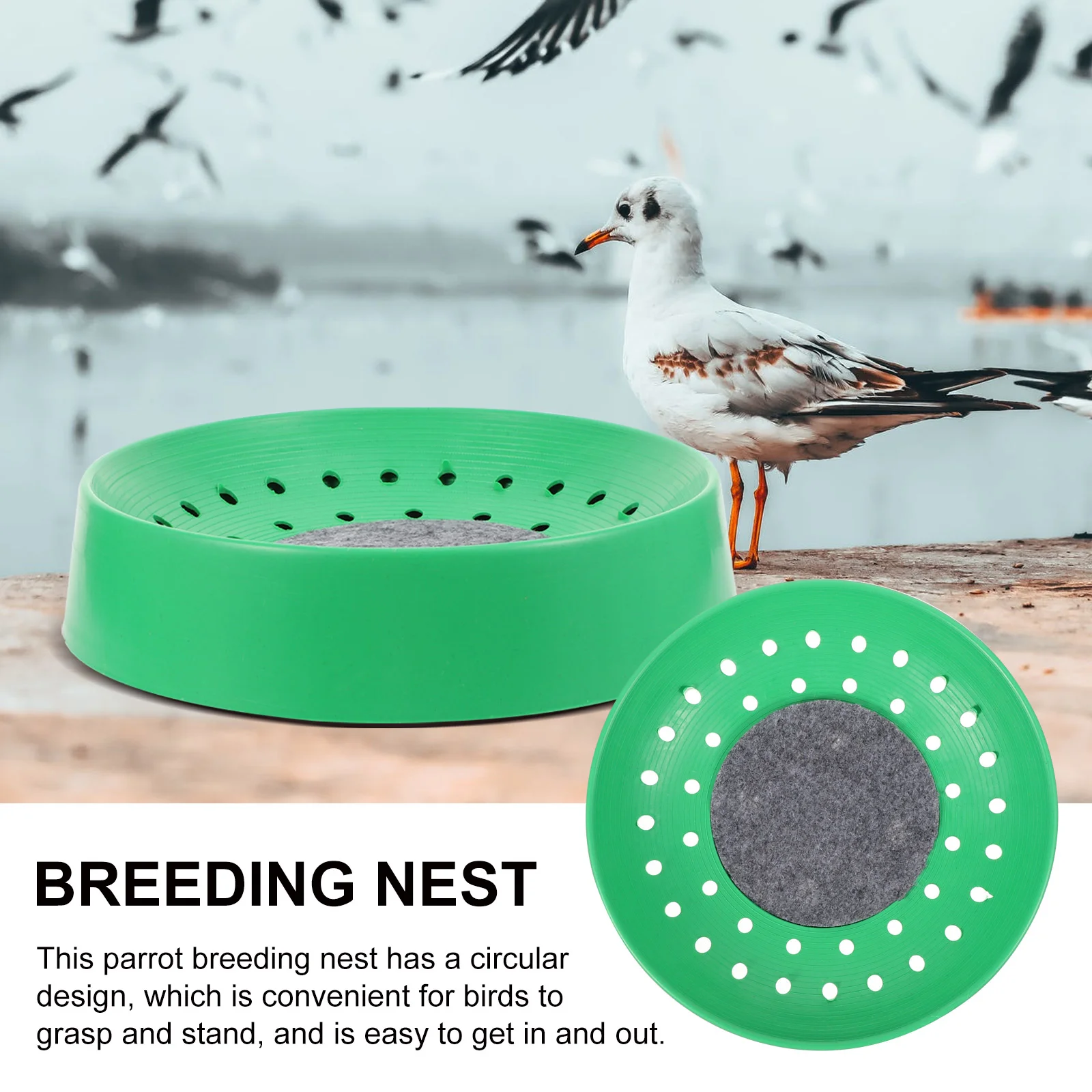 4 Pcs Pigeon Coop Bird Breeding Accessories Nesting Bowls Clay Supply Ring Hatching for Pigeons Plastic Boxes Birds Pads and