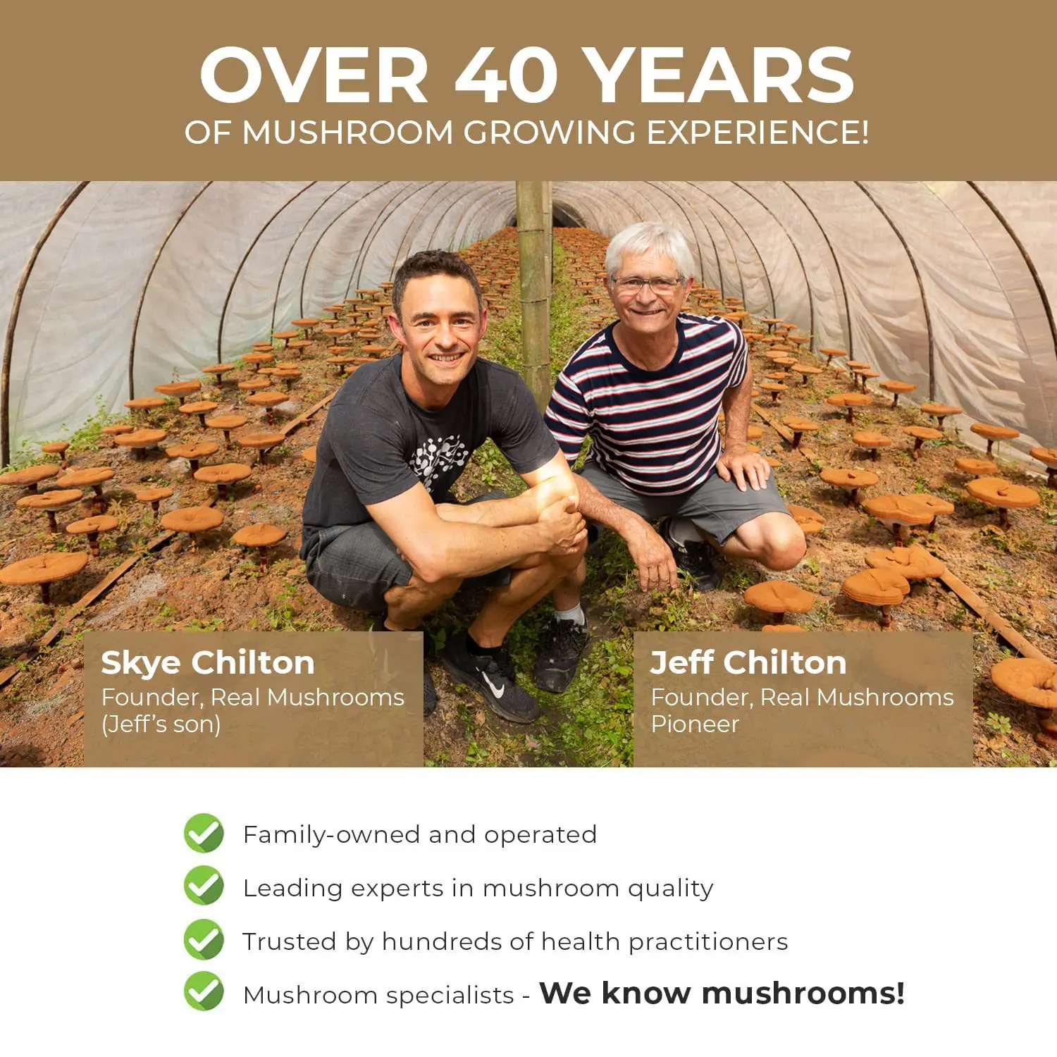 Lion Mane Ganoderma Mushroom Capsules Enhance Immunity, Improve Sleep Quality, Reduce Fatigue, and Improve Physical Fitness view 4