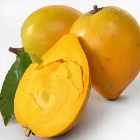 

BAYCKRC SEAS HARKS Рама дрона DC 5 дюймов FPV (рука 6 мм) — поддерживает 5-дюймовые лопасти, для фристайл/гоночных FPV-дронов (накладные линии)