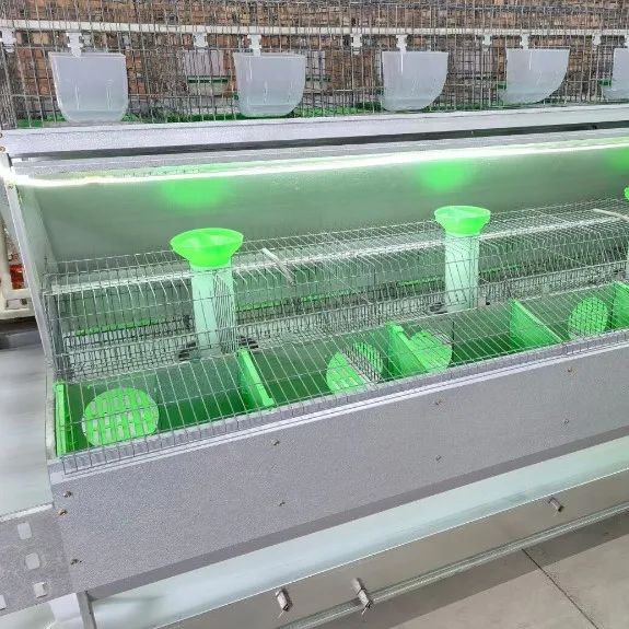 Professional Manufacturer Poultry Farm Equipment Breeding Commercial Rabbit Cage