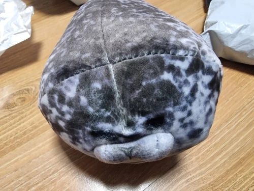 실물 포토 리뷰