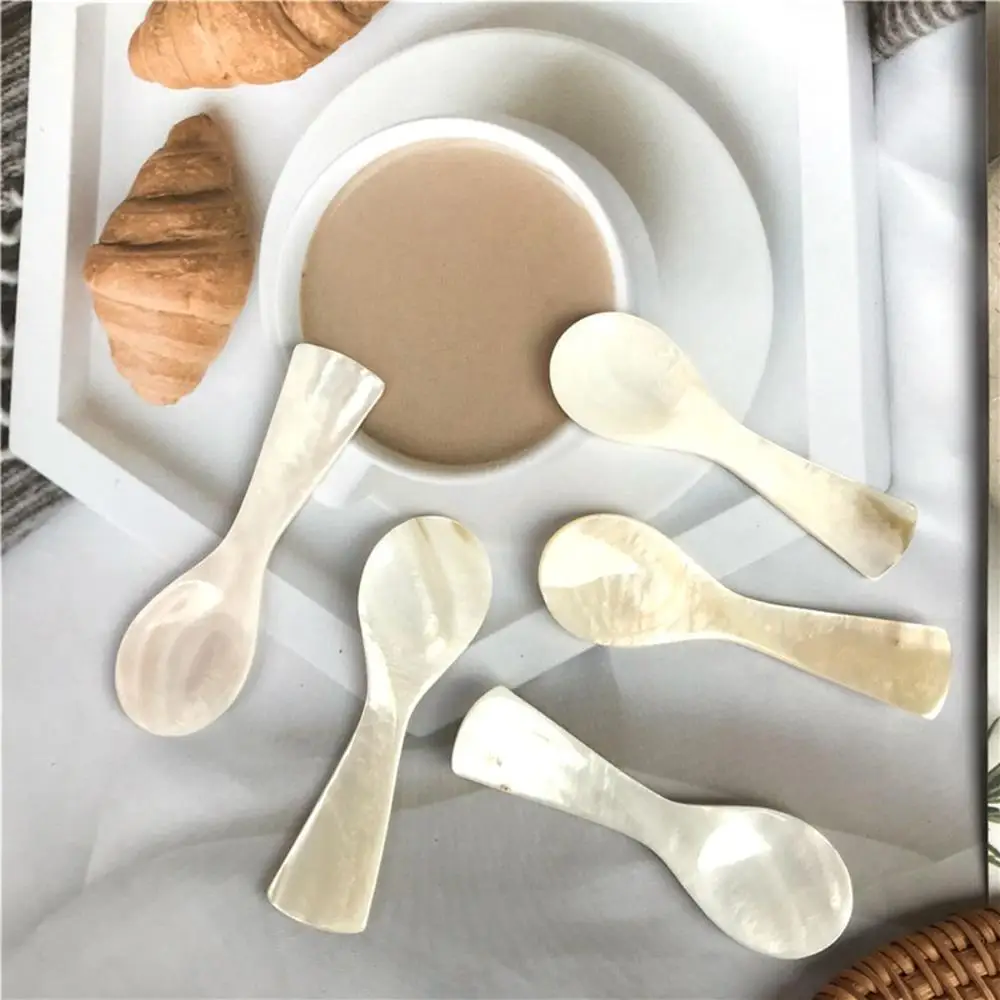 

Natural Conch Shell Ice Cream Coffee Spoon Caviar Spoon Seashells Stirring Spoons Teaspoon Kitchen Tool
