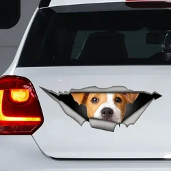 Jack Russell car sticker , Jack Russell magnet, Jack Russell terrier decal, personalized dog decal