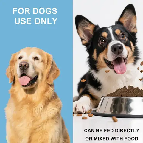 Hip And Joint Supplement Dogs Support Chews 100-piece Joint Health For Dogs For Home Travel Daily Care Digestive Absorption Pet