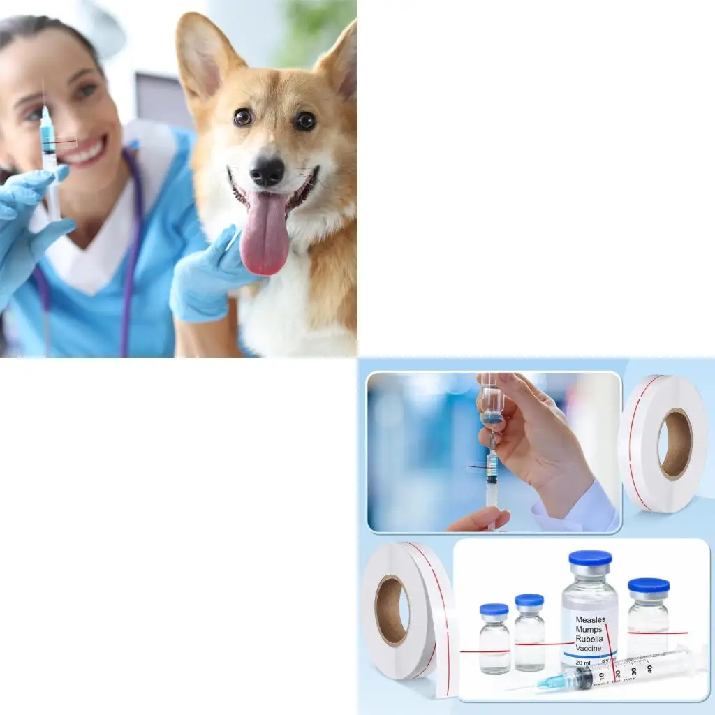 pacote-etiqueta-transparente-com-indicador-dose-medicamento-definido-3-rolos-para-medicao-precisa-medicamentos-na